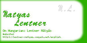 matyas lentner business card